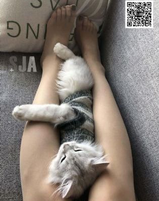 妈妈的朋友电影5