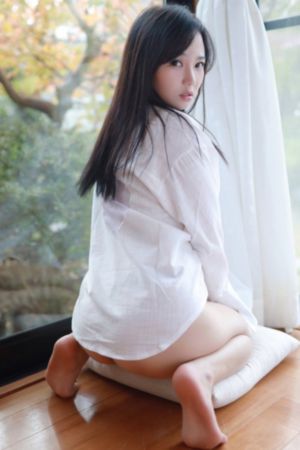 懒猫的狮子倒影2