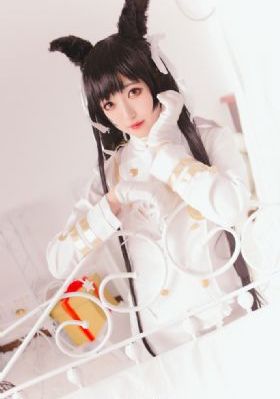 二十不惑2