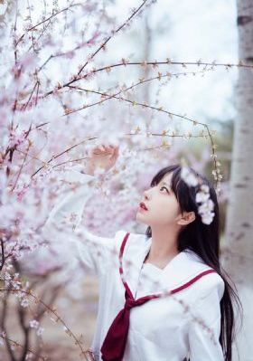 纱丽迷情 电视剧